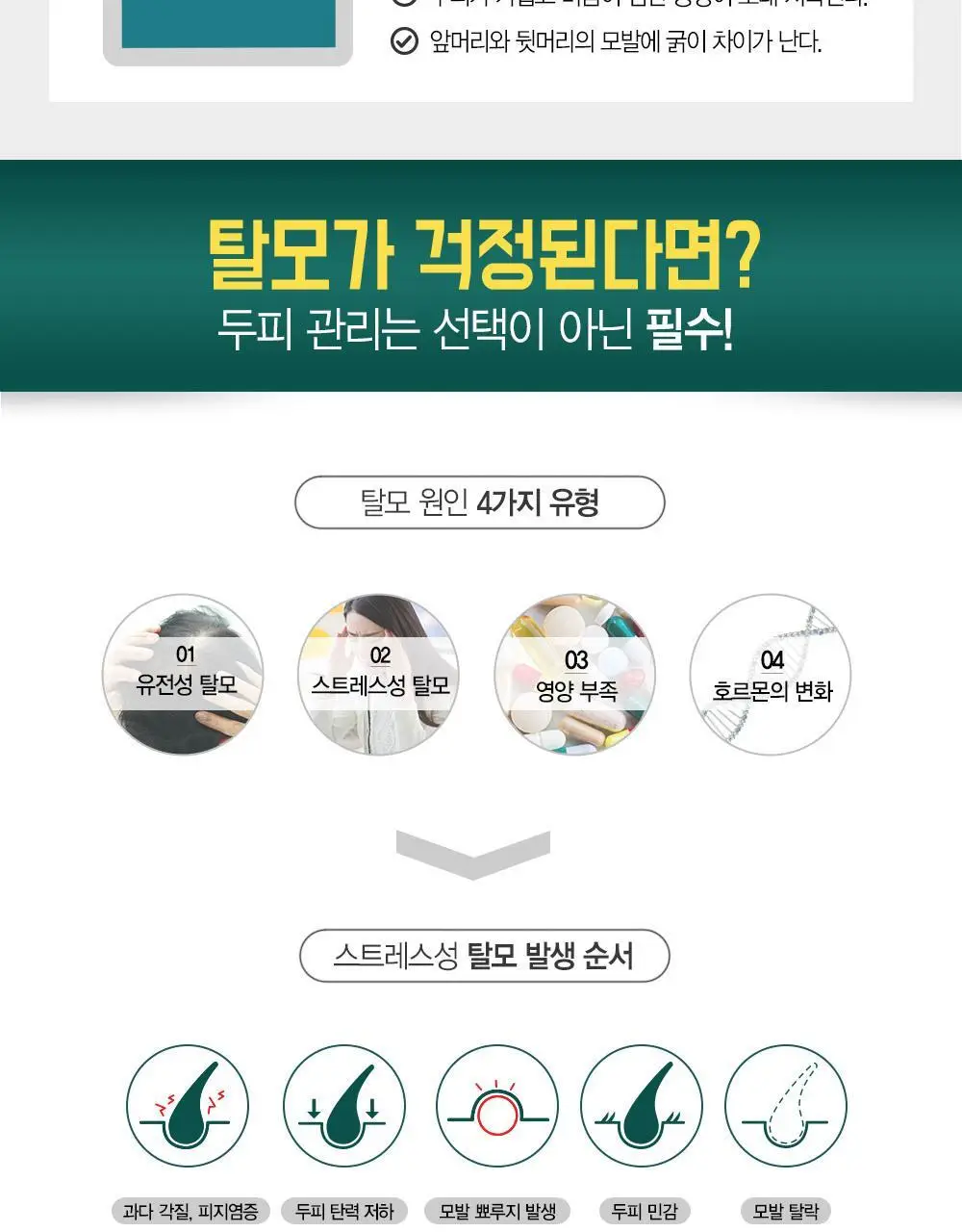 [갓생살다_탈모옴] 포레스트스토리 B7 안티 헤어 로스 헤어팩 200ml 상세페이지 3